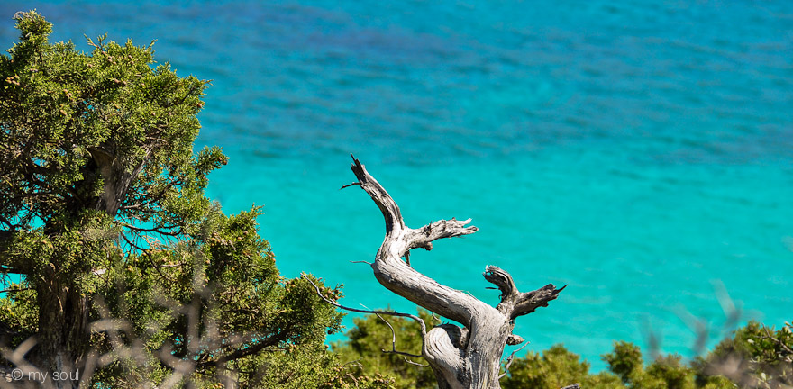 Corsica